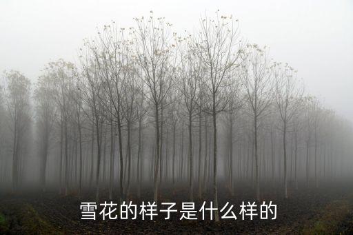  雪花的樣子是什么樣的