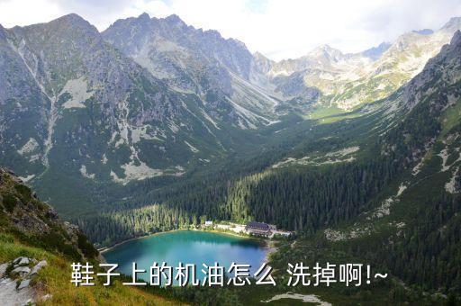 鞋子上的機(jī)油怎么 洗掉啊!~
