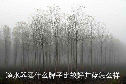 井藍深圳原勝太飲水機，深圳純水機哪家好