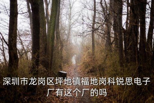 深圳市龍崗區坪地鎮福地崗科銳思電子廠有這個廠的嗎