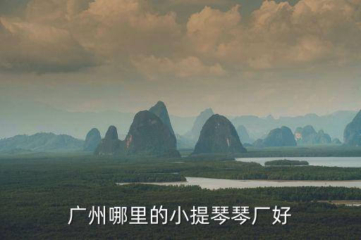 廣州哪里的小提琴琴廠好