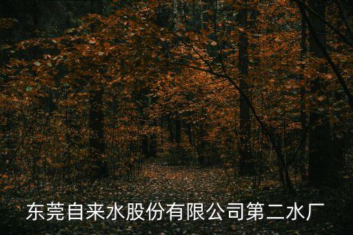 東莞第二批水上車廠，東莞市水廠名稱