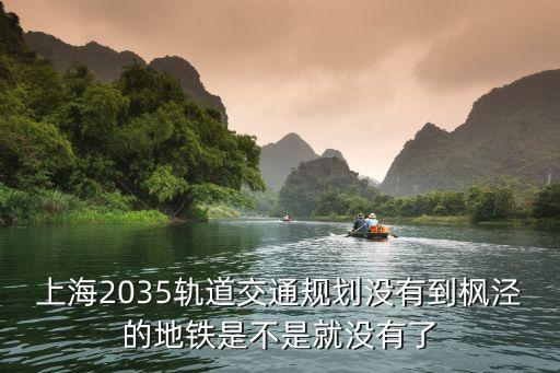上海市郊鐵路規劃2030，上海地鐵遠期規劃民生