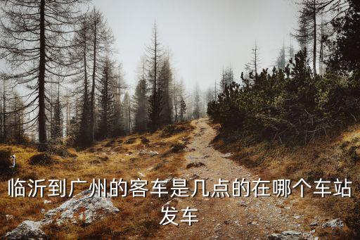 山東省臨沂市到廣州汽車站，臨沂到廣州的客車是幾點的在哪個車站發車