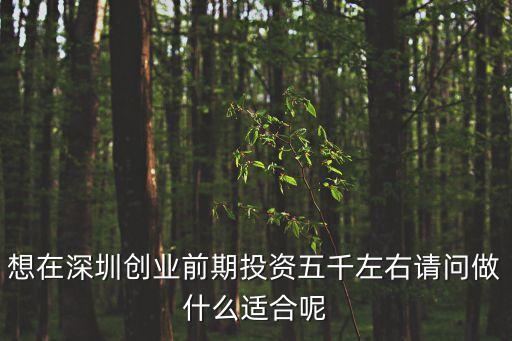 想在深圳創業前期投資五千左右請問做什么適合呢