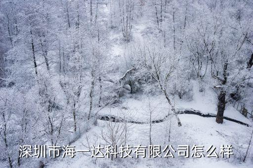 深圳市海一達科技有限公司怎么樣