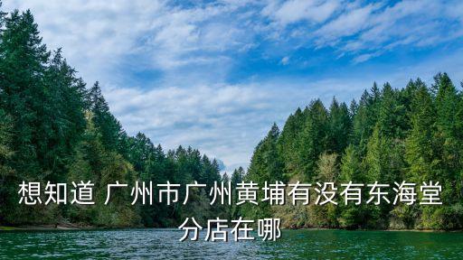 想知道 廣州市廣州黃埔有沒有東海堂分店在哪