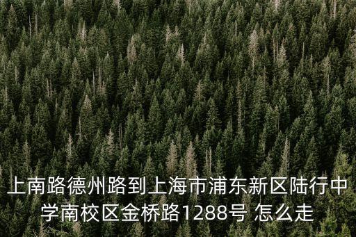 上南路德州路到上海市浦東新區(qū)陸行中學(xué)南校區(qū)金橋路1288號(hào) 怎么走