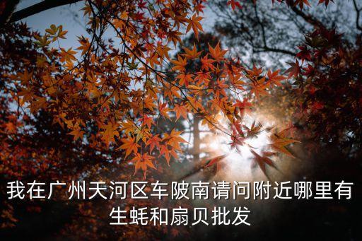 我在廣州天河區(qū)車陂南請(qǐng)問附近哪里有生蠔和扇貝批發(fā)