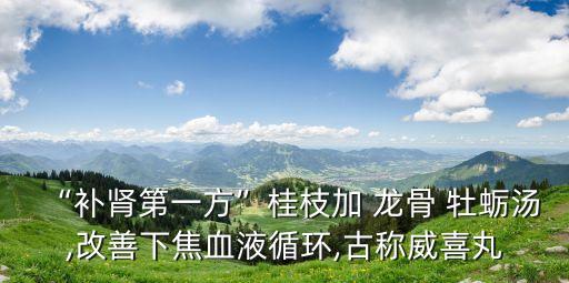 “補腎第一方”桂枝加 龍骨 牡蠣湯,改善下焦血液循環(huán),古稱威喜丸