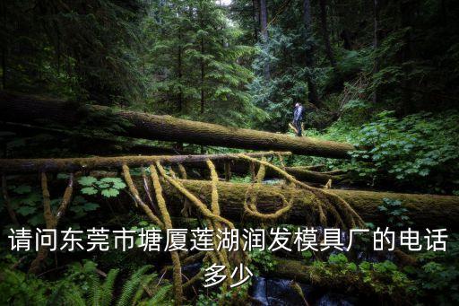 請問東莞市塘廈蓮湖潤發模具廠的電話多少