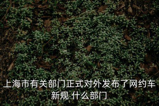 上海市有關部門正式對外發布了網約車新規 什么部門