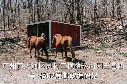 廣州市天河區員村二橫路松崗園三巷四號3樓02房郵政編碼是