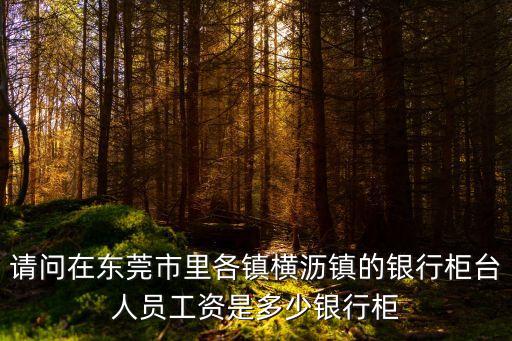 請問在東莞市里各鎮橫瀝鎮的銀行柜臺人員工資是多少銀行柜