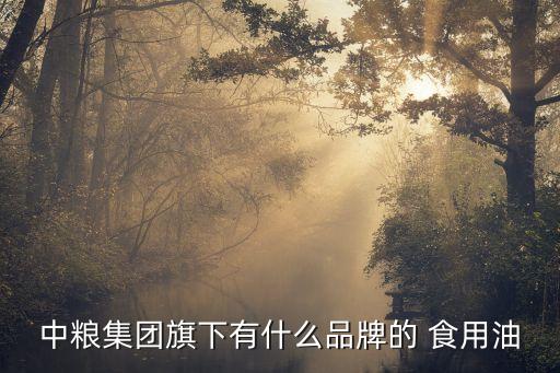 食用油上市公司,食用油上市公司有哪些?