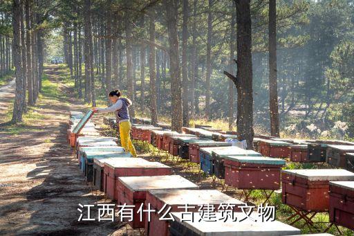 胡氏宗祠,對桐桐胡氏宗祠可有了解