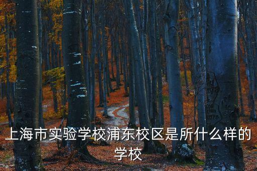 上海市實驗學校老照片，聽說上海市市實驗學校東校是小學四年初中三年制的
