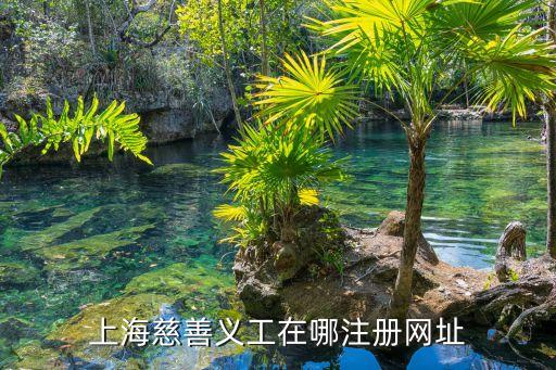 上海慈善義工在哪注冊網址