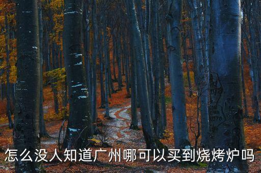 廣州豪寶有燒烤爐嗎，廣州哪里有賣燒烤設備的批發市場