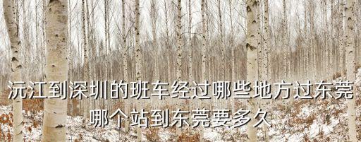 沅江到深圳的班車經過哪些地方過東莞哪個站到東莞要多久