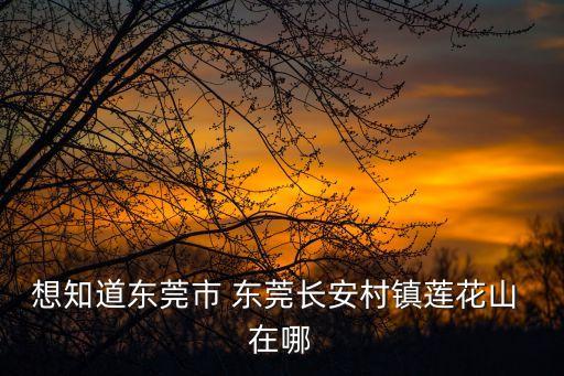 想知道東莞市 東莞長安村鎮蓮花山 在哪