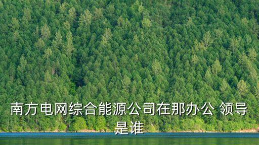 南方電網(wǎng)綜合能源公司在那辦公 領導是誰