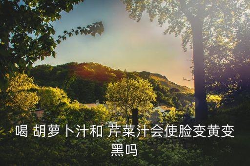 芹菜胡蘿卜汁,多吃青菜對我們身體有很大的好處