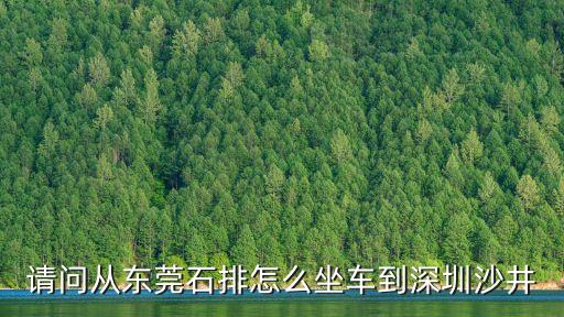 請問從東莞石排怎么坐車到深圳沙井