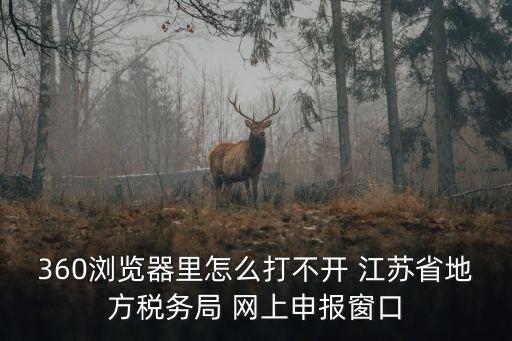 360瀏覽器里怎么打不開 江蘇省地方稅務局 網上申報窗口