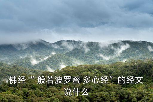 佛經“ 般若波羅蜜 多心經”的經文說什么