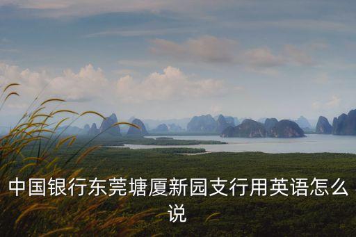 中國銀行東莞分行地址翻譯英文，中國銀行東莞分行地址