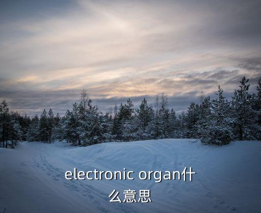 electronic organ什么意思