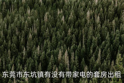 東莞東坑最新小產房，東莞市東坑鎮有沒有帶家電的套房出租