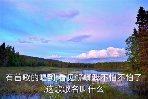 有首歌的唱到,看見蟑螂我不怕不怕了,這歌歌名叫什么