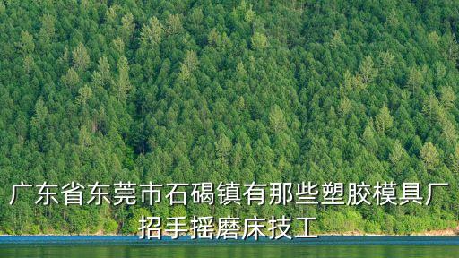 廣東省東莞市石碣鎮(zhèn)有那些塑膠模具廠招手搖磨床技工