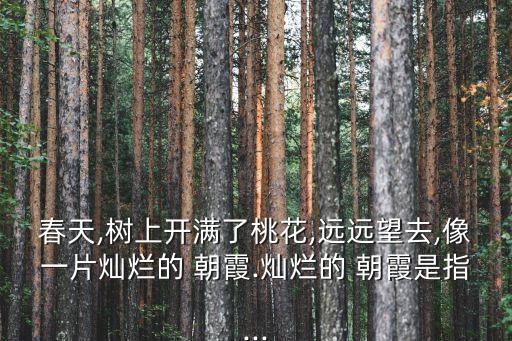 春天,樹上開滿了桃花,遠遠望去,像一片燦爛的 朝霞.燦爛的 朝霞是指...