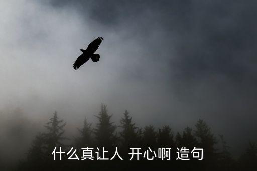 開心造句,我和爸爸媽媽高高興興去捕魚