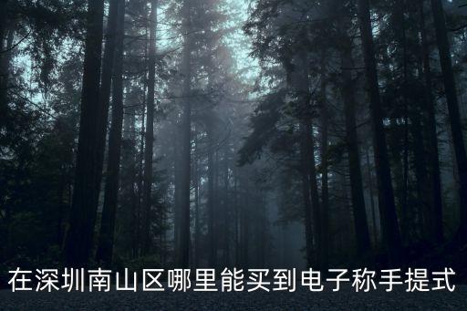 深圳市南山區(qū)喜佳文電器商行，在深圳南山區(qū)哪里能買到電子稱手提式