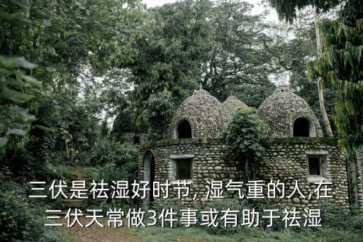 三伏天去濕氣,三伏天如何祛濕?