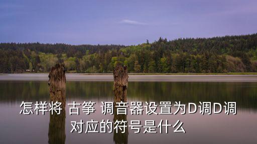 怎樣將 古箏 調音器設置為D調D調對應的符號是什么
