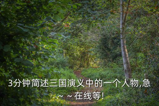 司馬炎簡介,司馬昭之死疑點重重死因何在?