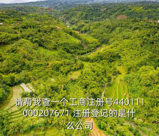 請幫我查一個工商注冊號440111000207671 注冊登記的是什么公司