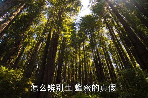 土真蜂蜜,怎么分辨真假土蜂蜜?看圖說話
