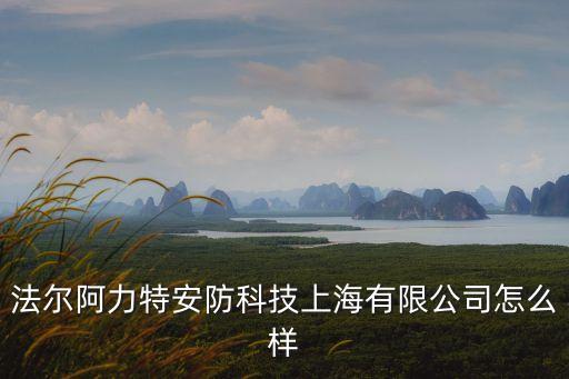 法爾阿力特安防科技上海有限公司怎么樣