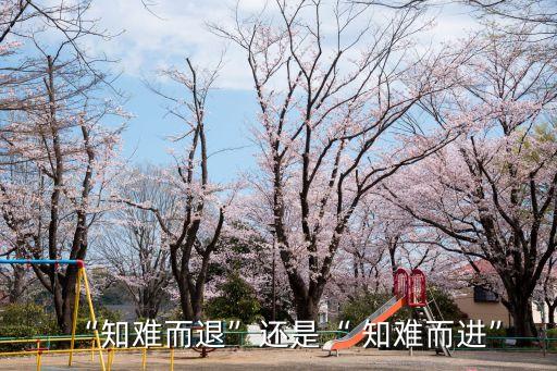 “知難而退”還是“ 知難而進(jìn)”