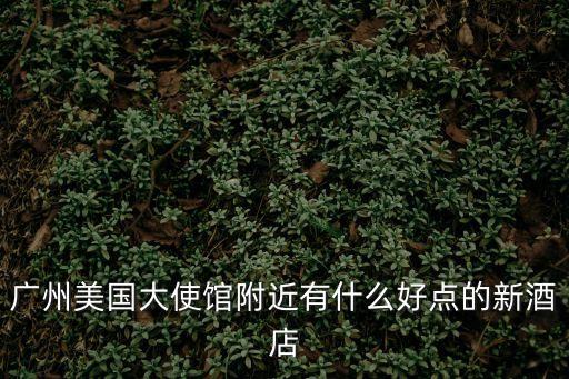 廣州美國大使館附近有什么好點的新酒店