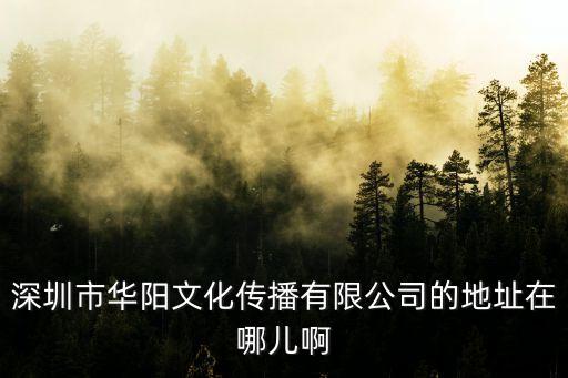 深圳市華陽文化傳播有限公司的地址在哪兒啊