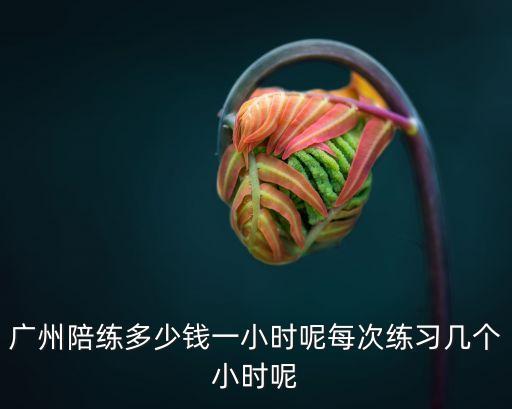 廣州大貨車陪練，大貨車B2陪練價格多少