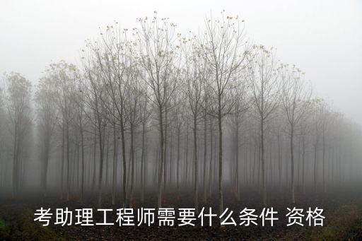 廣州助理工程師證報(bào)考條件，考助理工程師需要什么條件 資格