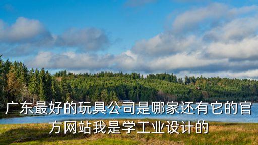 廣東最好的玩具公司是哪家還有它的官方網(wǎng)站我是學(xué)工業(yè)設(shè)計(jì)的